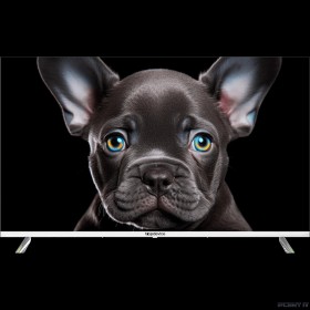 Topdevice 43" TDTV43CS08U_WE/UHD/VA/Smart SalyutTV/1.5-8Gb/BT/белый