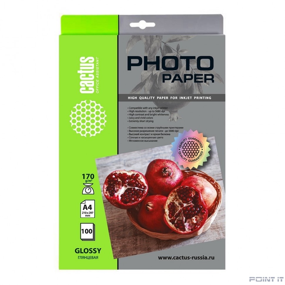 Фотобумага Cactus CS-GA4170100 A4/170г/м2/100л./белый глянцевое для струйной печати